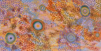 <br>Pilbara Wildflowers and Seeds - 8-26</br><br><i>Justina Willis.</i></br>