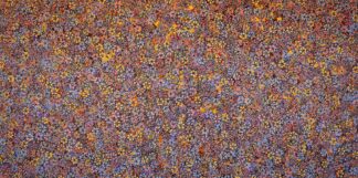 <br>Pilbara Wildflowers - 378-25</br><br><i>Dawn Sandy</i></br>