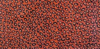 <br>Sturt Pea - 40-26</br><br><i>Melissa Sandy</i></br>