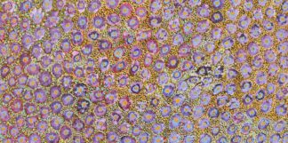 <br>Wildflower Blue Gum - 37-26</br><br><i>Allery Sandy</i></br>