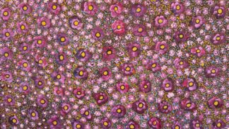 <br>Wildflower High - 43-26</br><br><i>Allery Sandy</i></br>