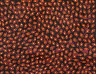 <br>Fallen Seeds - 57-26</br><br><i>Melissa Sandy</i></br>