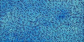 <br>Calming movements in the water  - 61-26</br><br><i>Melissa Sandy</i></br>