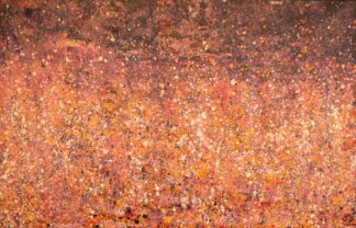 <br>Pilbara Wildflowers at Dusk - 88-26</br><br><i>Melissa Sandy</i></br>