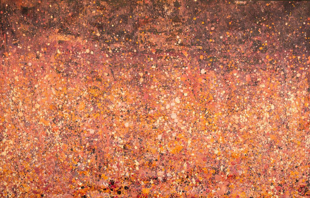<br>Pilbara Wildflowers at Dusk - 88-26</br><br><i>Melissa Sandy</i></br>