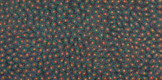 <br>Emu Seeds - 109-26</br><br><i>Melissa Sandy</i></br>