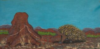 <br>Echidna going for Lunch - 167-26</br><br><i>Rodney Adams</i></br>
