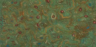 <br>Pilbara Wildflowers and Seeds (Justina) - 110-26</br><br><i>Justina Willis</i></br>