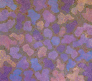 <br>Pilbara Wildflowers - 226-26</br><br><i>Justina Willis</i></br>