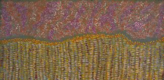 <br>Pilbara Wildflowers - 234-26</br><br><i>Madeline Sandy</i></br>