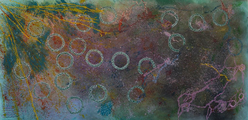 <br>Comets across the Wanurarra - 247-26</br><br><i>Michelle Adams</i></br>