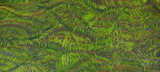 <br>Budawayi - 216-25</br><br><i>Renee Wally</i></br>