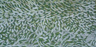 <br>Bush Medicine - 218-25</br><br><i>Renee Wally</i></br>