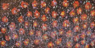 <br>Pilbara Wildflowers amongst the Mist and Spinifex (Marlene) - 328-26</br><br><i>Marlene Harold</i></br>